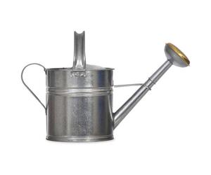 Garden Trading | Classic Watering Can | Metal Watering Can | Silver 5L
