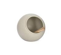 Garden Trading Ceramic Salt Cellar in Neutral