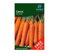 Garden Treasures Carrot Early Nantes (Daucus Carota)