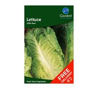 Garden Treasures Lettuce Little Gem (Lactuca Sativa)