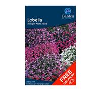 Garden Treasures Lobelia String Of Pearls Mixed (Erinus) Flower Seeds