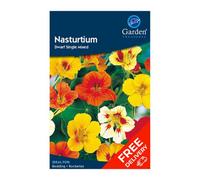 Garden Treasures Nasturtium Dwarf Single Mixed (Tropaeolum Nanum) Flower Seeds