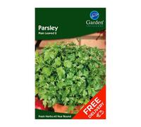Garden Treasures Parsley Plain Leaf (Petroselinum Crispum)