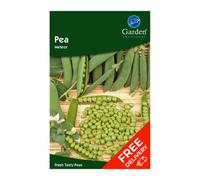 Garden Treasures Pea Hurst Green Shaft (Pisum Satifum)
