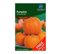 Garden Treasures Pumpkin Connecticut Field (Cucurbita Pepo)