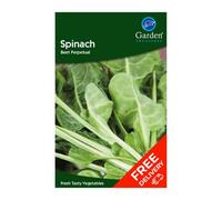 Garden Treasures Spinach Beet Perpetual (Beta Vulgaris)