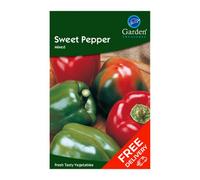 Garden Treasures Sweet Pepper Mixed (Capsicum Annuum)