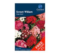Garden Treasures Sweet William Single (Dianthus Barbatus) Flower Seeds