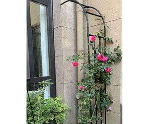 Garden Trellis Arch - Wall-Mounted Pergola for Climbing Plants - Heavy Duty Weather-Resistant Support - 2.4M Height - Dimensions: 60x240cm