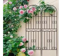 Garden Trellis Metal Plant Support Freestanding Plant Climbing e Detive Flower Structure Black 110x50 cm Ideal for Veal Gardening and Plant Det