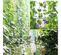 Garden Trellis Net for Vertical Plant Growth Supporting Tomato Vines Bean Stalks Pea Shoots and Grape Canes Naturally (2.7 * 5m)