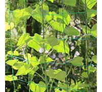 Garden Trellis Net for Vertical Plant Growth Supporting Tomato Vines Bean Stalks Pea Shoots and Grape Canes Naturally (3.6 * 5m)