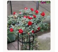 Garden Trellis with Mushroom Top for Climbing Plants Rust-Resistant Metal Build to Support Upright Growth in Limited Spaces (B)