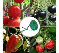 Garden Twine for Climbing Plants - 2-Pack Soft Plant Ties, 30m per Roll (60m Total), Acrylic Fiber String, Green, for to