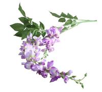 Garden Wisteria Lilac - Purple