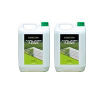 Garden Xpert Algae, Lichen & Mould Cleaner | 5 litre (2 Pack) | Suitable for Patios, Natural Stone, Paving Slabs, Paths & Roofs| Lasting Protection | Ready to Use | Pet Friendly Once Dry