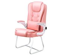Gardeneea Ergonomic Office Guest Chair with Slidable Base & Lumbar Support Conference Room Chair without Wheels Reception Seating for Waiting Area (Rosa 53x48x109cm(21x19x43))
