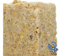 Gardeners Dream 10 X Busybeaks Sunfower Heart Suet Fat Blocks - Premium Grade High Protein Bird Food For Wild Birds