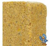 BusyBeaks Suet Fat Blocks | Premium Grade Garden Wild Bird Food | Enhanced Formula | Naturally Blended High in Energy & Protein-Rich Feed | Full of Nutritious Fat Fibre & Moisture (Worm & Insect, 10)