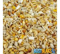 BusyBeaks No Mess Seed Mix | Garden Wild Bird Food Mixture | Husk and Shell Free Seeds | Premium Quality Balanced Formula | Protein-Rich Great Source of Energy | Attracts Various Birds (12.5kg)