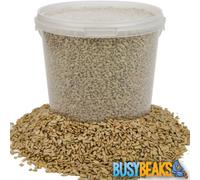 BusyBeaks Sunflower Hearts Wild Bird Food | Finest Bakery-Grade Garden Seed Mix | Husk Free and Dehulled No Mess Seeds | Nutritious Natural and Healthy Feed Mixture | Balanced Vitamin Recipe (1L Tub)