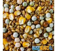 BusyBeaks Four Seasons Pigeon Corn | Premium Grade Natural Food Mix | Rich in Nutritious Oils Vitamins and Minerals | Perfect Year-Round Wild Bird Seed Feed | High in Protein Energy & Fibre (2.5kg)