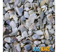 BusyBeaks Hen Sized Oyster Shell | Premium High in Calcium Poultry Grit | Enhances Strong Bones Digestion System and Quality of Eggs | Chicken Hen Animal Wildlife Mixture | Natural Food Mix (2.5kg)