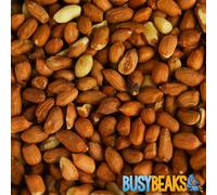 BusyBeaks Premium Whole Peanuts (2.5kg) for Wild Birds - High-Energy Bird Food & Nuts - Natural, Aflatoxin Free Wild Bird Peanuts, Nutritious Feed for Garden Birds & Squirrels