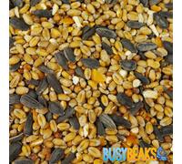 Gardeners Dream 2.5Kg Busybeaks Year Round Mixture - Nutritious Garden Bird Seed Food For Wild Birds