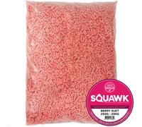 SQUAWK Berry Suet Pellets | Premium Garden Wild Bird Food Mix | Balanced and Healthy Feed Mixture | Nutritious Berry Flavoured Pellet | Contains Tasty High Energy Vitamins and Minerals (2.5kg)