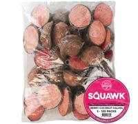 SQUAWK Berry Suet Filled Coconut Halves | Premium Garden Wild Bird Food | Protein-Rich High Energy Feed | Sunflower Seeds and Cereal Oat | Healthy Development for Birds | Year-Round Feeding (25 pack)