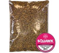 Gardeners Dream 25Kg Squawk Dried Mealworms - Premium Quality Wild Bird Food Garden Snacks For Birds