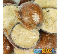 Gardeners Dream 40 X Busybeaks Suet Filled Coconut Halves - Wild Bird Food Garden Fat Feeder