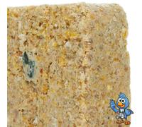 BusyBeaks Suet Fat Blocks | Premium Garden Wild Bird Food | Enhanced Formula | Naturally Blended, High in Energy & Protein-Rich Feed | Full of Nutritious Fat Fibre & Moisture (Mealworm, 5)