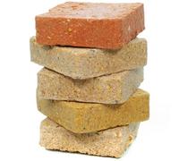 SQUAWK Suet Fat Blocks | Premium Grade Garden Wild Bird Food | Enhanced Formula | Naturally Blended, High in Energy & Protein-Rich Feed | Full of Nutritious Fat, Fibre & Moisture (Mixed, 50)