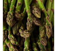 Gardeners Dream Asparagus Mondeo Outdoor Vegetable Plant Grow Your Own Vegetables For Garden