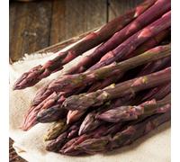 Gardeners Dream Asparagus Pacific Purple Bare Root Crowns - Grow Your Own Bareroot, Fresh Vegetable Plants, Ideal For Uk Gardens (50 Pack)