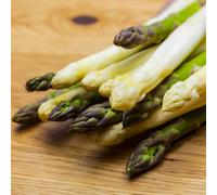 Gardeners Dream Asparagus Vittorio Bare Root Crowns - Grow Your Own Bareroot, Fresh Vegetable Plants, Ideal For Uk Gardens (25 Pack)