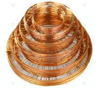 GardenersDream Flat Wire Wreath Rings - Great for Wreath Making, Christmas Decorations, Crafting and Floristry Frames (40, 10" (25cm))