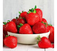 Gardeners Dream Strawberry Cambridge Favourite Bare Root - Grow Your Own Bareroot, Fresh Fruit Plants, Ideal For Uk Gardens (10 Pack)