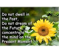 Gardeners Sunflower Fridge Magnet Gift - Inspirational Buddha Quote do not Dwell in The Past. Perfect Exclusive Birthday or Christmas Gift