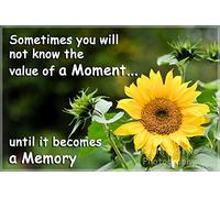 Gardeners Sunflower Fridge Magnet Gift - Inspirational Quote Value The Moment. Perfect Exclusive Birthday or Christmas Gift