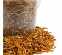GardenersDream Dried Mealworms Mix - Wild Bird Food Large Variety (10L Tub)