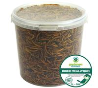 GardenersDream Dried Mealworms - Nutritious Wild Bird Food Treats 2.5L