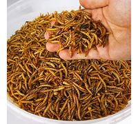 GardenersDream Dried Mealworms | Premium Garden Wild Bird Food Mix | Balanced Formula | Protein-Rich, Great Source of Energy | Contains Beneficial Mixed Vitamins | Large Variety (1KG)