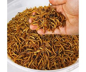 GardenersDream Dried Mealworms | Premium Garden Wild Bird Food Mix | Balanced Formula | Protein-Rich, Great Source of Energy | Contains Beneficial Mixed Vitamins | Large Variety (1KG)