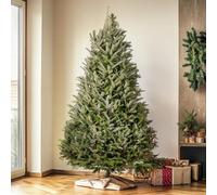 GardenersDream Fraser Fir Fresh Cut Christmas Tree - Real Live Fresh Seasonal Xmas Tree (10ft, 300cm) (Delivery Week 1: 24th - 28th DEC)