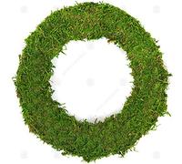 GardenersDream Padded Moss Effect Rings - Bases and Frames for Wreath Making, Christmas Decorations, Funeral and Grave Arrangements (10, 10" (25cm))