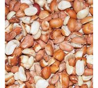 GardenersDream Wild Bird Peanuts - Premium Nut Protein For Birds In Your Garden (10KG)