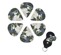 Gardenia Flowers Birds Guitar Picks 6 Pack, 0.96mm Thickness Celluloid Bass Pick with Leather Guitar Pick Holder Keychain Abstract Art Pics Plectrum for Acoustic Electric Guitar, Ukulele, Bass